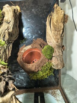 Terárium 60x45x45 - 10