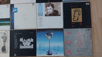 15x, spíše 16x LP č. 13 - 10