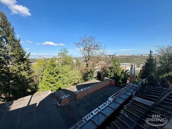 Pronájem 1+kk, 40 m² – Luxusní dům se zahradou, bazénem a vý - 10