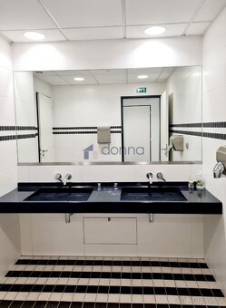 Pronájem kanceláře 322 m² Šaldova, Praha 8 - Karlín - 10