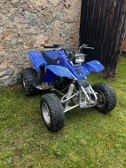 Yamaha Blaster YFS 200 - 10