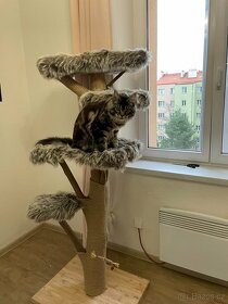 LUXUSNÍ kočičí stromy - 10
