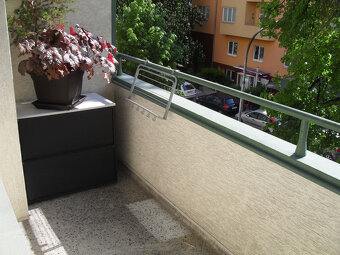 Pronájem bytu 2+kk, Bayerova, Veveří, 17000 Kč/měs, 46 m2 - 10