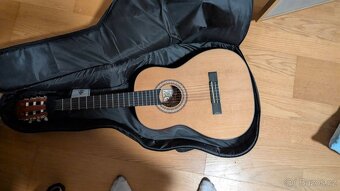 Kytara v nejlepším stavu - 10