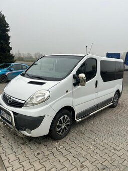 Vivaro - 10