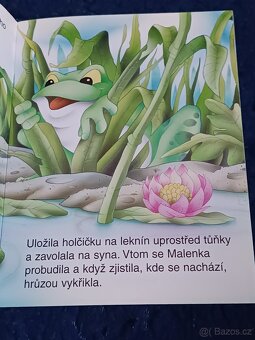 25 knížeček pohádek pro děti a bonus navíc - 10