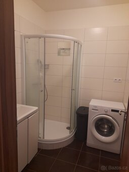 Pronájem bytu 1+kk (36m2) - 10