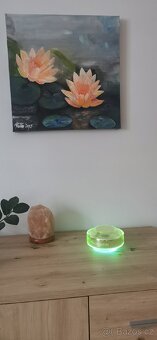 Somavedic Vedic - 10