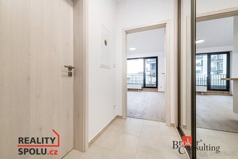 Prodej, byty/1+kk, 40 m2, Železná 3061/10, 30100 Plzeň, Plze - 10