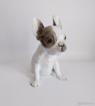 Porcelánová figura francouzského buldočka - Rosenthal - 10