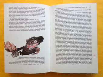 Gabriel García Márquez - Sto roků samoty / il. Boris Jirků - 10