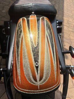 Harley Davidson Sportster iron 883 Goaart custom - 10