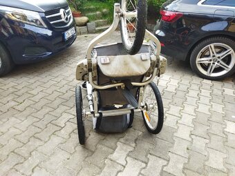 Thule Chariot - 10