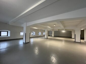 Pronájem skladových prostor 100 m2 - U Dolního Skrýchova u J - 10