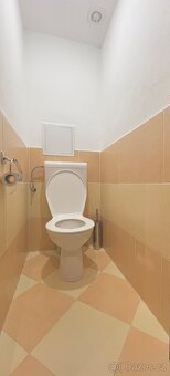 Prodám slunný byt 2+1 64m2 a prostornou garáž 32m2 - 10