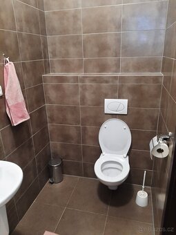 1+kk Sázava byt k pronájmu - 10