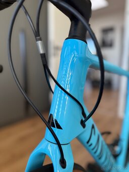 Canyon Endurance CF 7 vel. L - 10