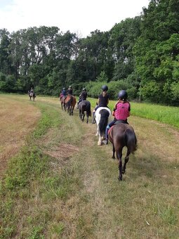 Prodáme ponyho - 10