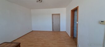 Pronájem - 10