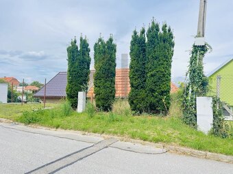 Prodej vinného sklepa, Dolní Bojanovice - 10