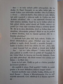 Opuštěná ves - Arvi Järventaus - 10