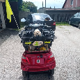 Elektricka Trikolka ElektroPower De Luxe 5 - 10