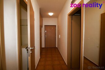 Pronájem, byt 2+kk, Luční jez, České Budějovíce - 10