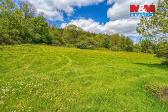 Prodej pozemku k bydlení, 10400 m², Sušice - 10