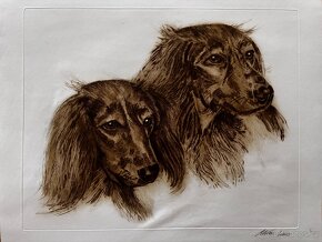 Ales Vaic - lesnicka tematiky - 10