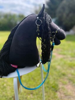 Hobby horse - 10