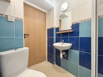 Pronájem bytu 1+kk 19 m² - 10
