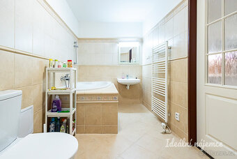Pronájem bytu 1+kk, Mánesova, Vinohrady, 17900 Kč/měs, 63 m2 - 10