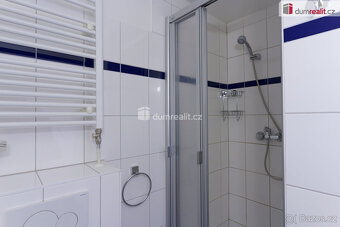 Velmi pěkný byt (obytný atelier) 1+kk, Praha 8-Střížkov - 10