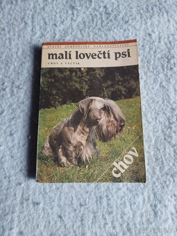 KNihy VSEHOCHUT - 10