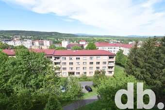 Pronájem, Byty 2+1, 67m2 - Karlovy Vary - Stará Role - 10