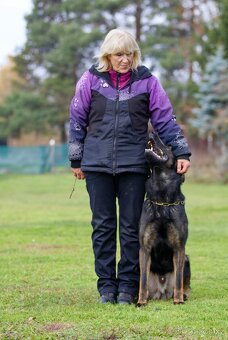 Německý ovčák s PP - 10