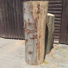 anděl motorovou pilou - 10