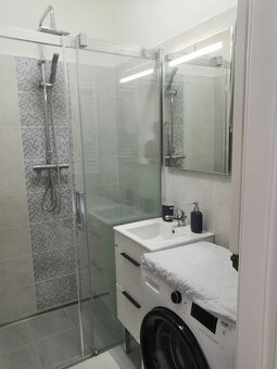 Pronájem 1kk Židlochovice - 10