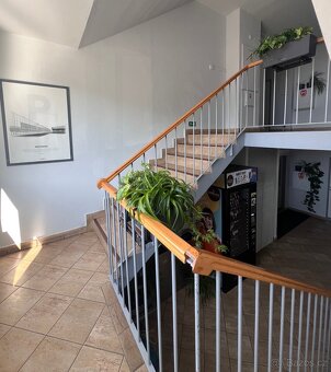 Pronájem 2 zrekonstruovaných kanceláří 49,5 a 19,5 m2 - 10