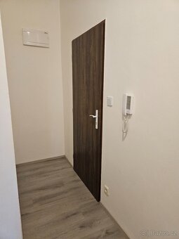 Pronájem 1+1 tř. Kpt. Jaroše, Brno - 10