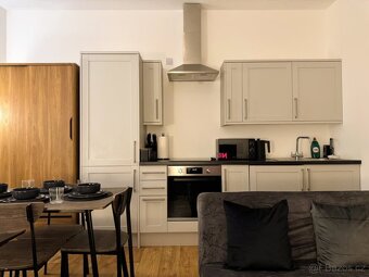 Pronájem bytu 1+kk – 30 m² - 10