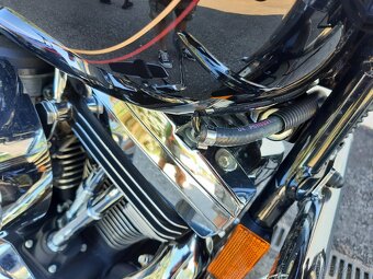 Harley Davidson - 10
