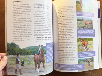 Jezdecké knihy Ingrid Klimke - 10