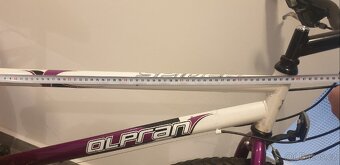 Kolo Olpran Spider 26" rám 16"
Vyzvednutí Praha 4 nebo ce - 10