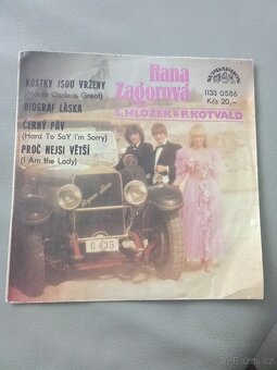 LP desky vinyl malé - 10