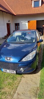 Peugeot 307 - 10