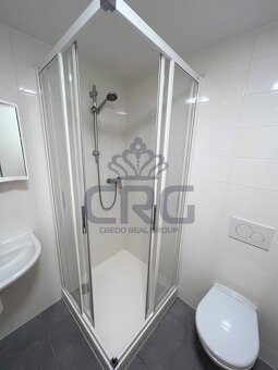PRONÁJEM NEBYTOVÉHO PROSTORU O CP CCA 15,20 M2, MALOMĚŘICE - 10
