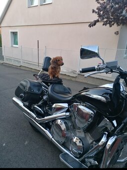Honda VTX 13000 - 10