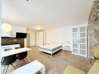 Pronájem bytu 1+kk 46 m² Kobližná, Brno - Brno-město - 10
