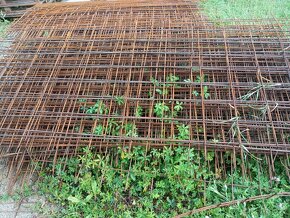 Kari sítě - 15kč / kg - 10